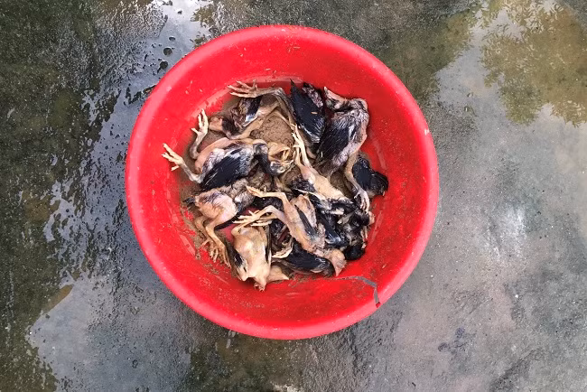 Nhiều tài sản, hoa màu của người dân bị thiệt hại Nhiều tài sản, hoa màu của người dân bị thiệt hại