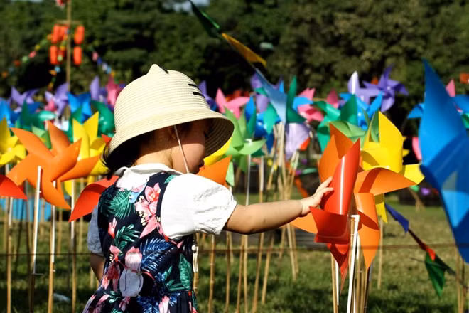 Ngắm nhìn những chiếc chong chóng quay trong gió, bất cứ ai cũng có cảm giác cuộc sống bình yên