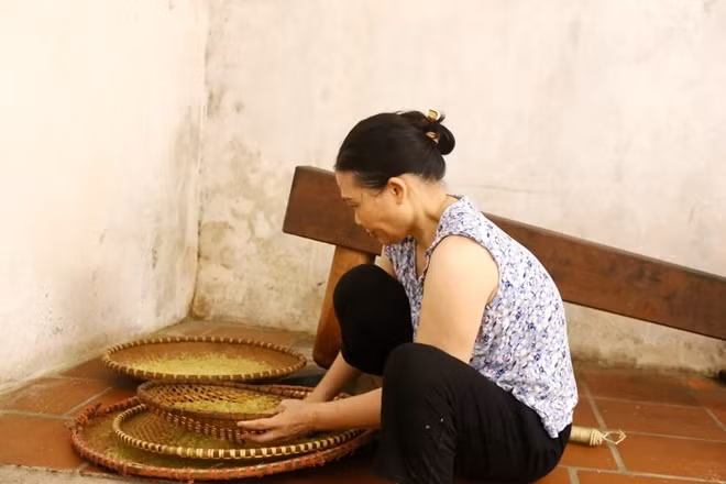Khéo léo đãi nếp để chọn hạt mảy, căng bóng, sau đó nếp được đem rang bằng chảo gang đúc, đế dày, đảm bảo giữ nhiệt đều. Ngọn lửa rang cốm cũng cần một sự chăm chút, bởi nếu đốt bằng than lửa sẽ không đượm không đều nên người làng Vòng chọn củi để đốt lửa.