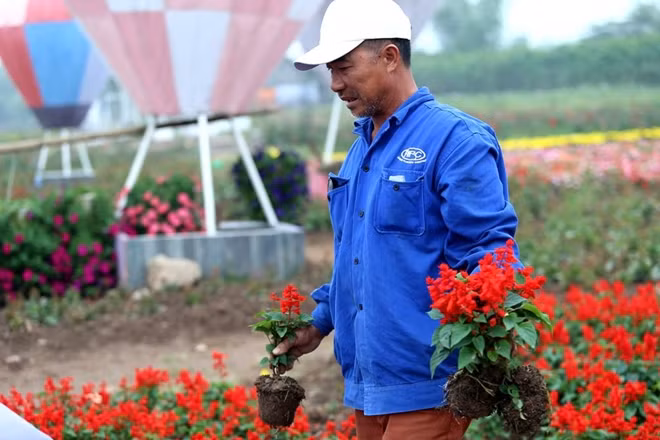 Dù công trình này đã hoàn thành nhưng hàng ngày vẫn phải có người chăm sóc....