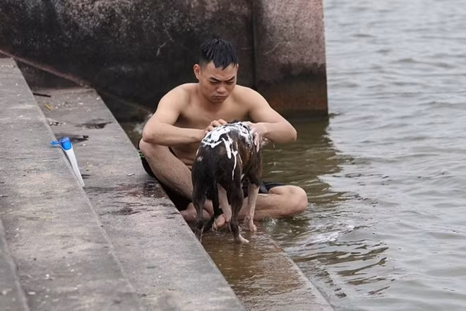 "Ở đây có không gian thoáng, có thể mang thú nuôi ra tắm cùng và được tắm miễn phí nên tôi chọn đây là chỗ giải nhiệt của tôi và chú chó cưng", anh Mạnh chia sẻ.