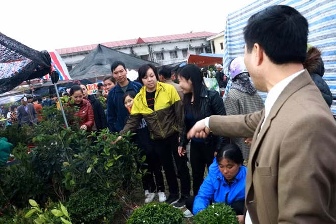 Tuy nhiên, giá các mặt hàng cũng tăng cao so với ngày thường, một kg thịt bò được bán với giá 300.000 đồng; cây cảnh từ vài chục nghìn đến vài triệu đồng tùy từng loại.