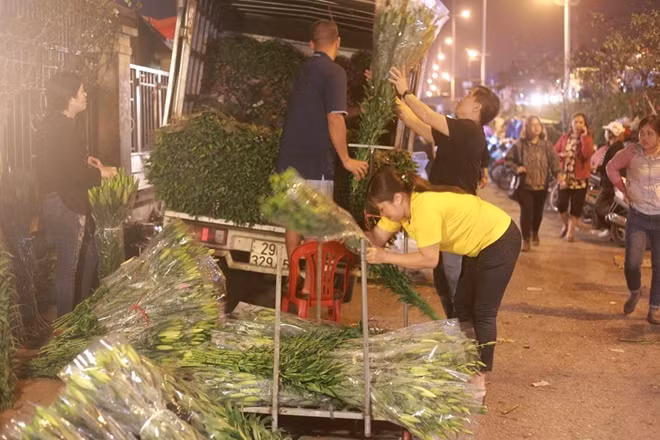 Càng tới nửa đêm, những chuyến xe chở hoa đổ về chợ càng tấp nập.