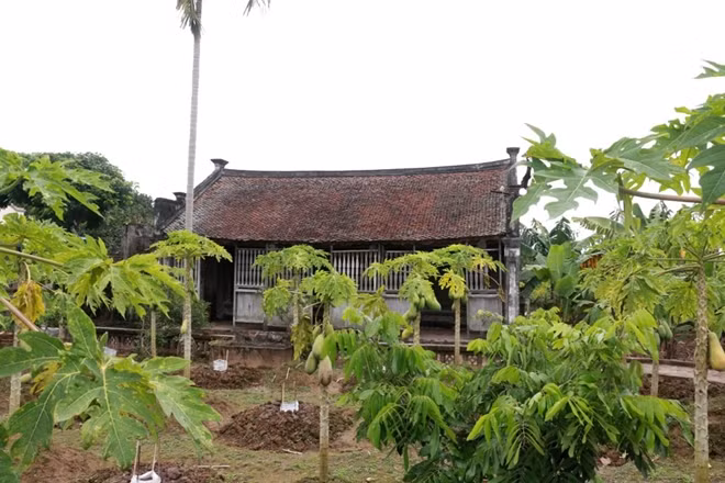 Dù đã nhuộm màu thời gian nhưng ngôi nhà vẫn giữ được nét cổ kính của gia đoạn 1940 – 1945.
