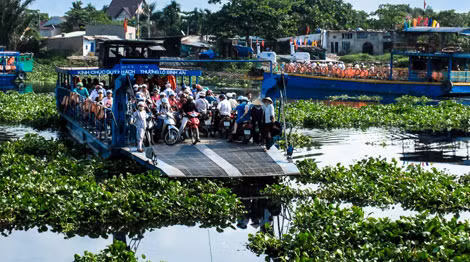 Lục bình đầy sông rạch tại phà An Phú Đông.