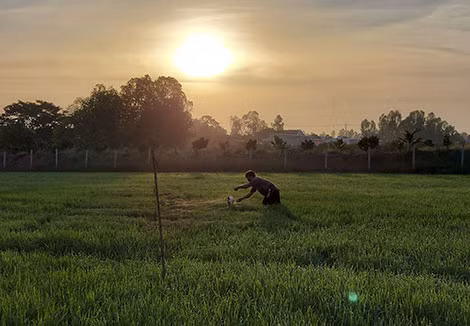 Một thợ bẫy chuyên nghiệp giương lưới từ tờ mờ sáng để đón đàn cò bay ra từ Vườn quốc gia Tràm Chim.