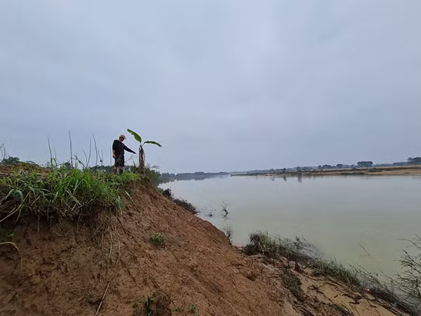Sạt lở bờ sông Thạch Hãn khiến hàng chục hécta đất đai sản xuất nông nghiệp đổ ụp xuống sông.