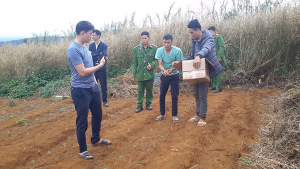 Đối tượng trồng cây cần sa tại hiện trường. Đối tượng trồng cây cần sa tại hiện trường.