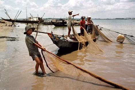 Mekong là môi trường sinh sống của nhiều loại thủy sản nước ngọt nhất thế giới và là sinh kế của hơn 60 triệu người.