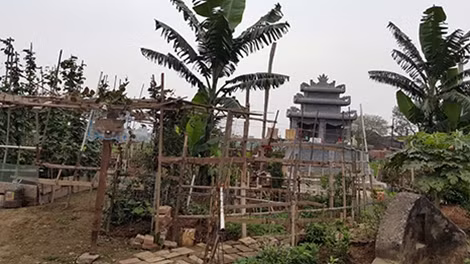 Khu ''vườn yêu'' ông Thiệp làm tặng người vợ quá cố.