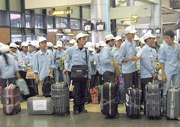 Lao động bị chấm dứt HĐLĐ trước thời hạn sẽ được hoàn lại tiền vé máy bay từ Việt Nam sang UAE, chi phí đào tạo trước khi xuất cảnh và tiền thưởng 500 USD.