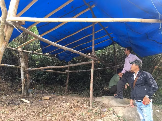 Một phần lán trại chốt chặn, kiểm soát lâm sản vừa mới dựng xong đã bị kẻ xấu đốt phá. Ảnh: BQL RPH Vân Canh.