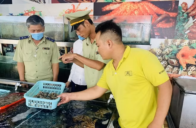 Đội kiểm tra liên ngành TP Nha Trang đang kiểm tra tại nhà hàng hải sản Bờ Kè Tháp Bà 86 . Ảnh : X.T