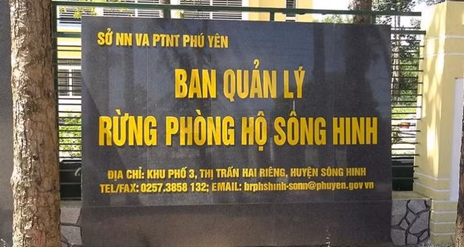 Ban quản lý rừng phòng hộ Sông Hinh - nơi ông Võ Trọng Bình từng giữ chức vụ Phó Giám đốc, phụ trách cơ quan này