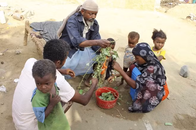 Người dân Yemen ở huyện Aslam phải ăn lá cây để sống trong cuộc chiến không hồi kết. Ảnh: AP