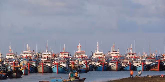 Để đảm bảo an toàn, ngư dân không nên tắt thiết bị giám sát hành trình