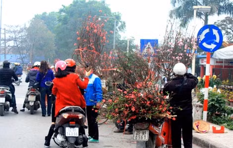 Một điểm bán hoa trên đường Âu Cơ tấp nập khách ghé vào mua hoa.