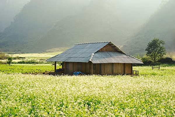 Cung đường Tây Bắc hấp dẫn du khách.