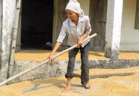Bà Lê Thị Thuận là người tỉnh táo nhất trong gia đình ngớ ngẩn. Bà Lê Thị Thuận là người tỉnh táo nhất trong gia đình ngớ ngẩn.