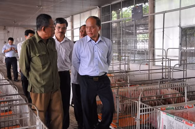 Đoàn của Bộ NN và PTNT và đi phương đi khảo sát tại một trại heo.