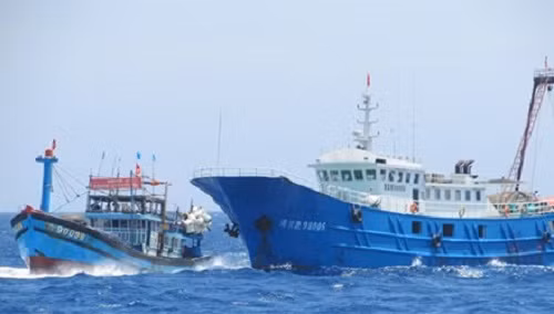 Ngư dân miền Trung vẫn ngoan cường giữa Hoàng Sa trước sự trấn áp của tàu Trung Quốc.