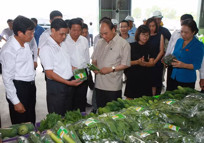 Thủ tướng Nguyễn Xuân Phúc cùng đoàn đại biểu Quốc hội Hải Phòng thăm khu công nghệ cao tại huyện Vĩnh Bảo. Thủ tướng Nguyễn Xuân Phúc cùng đoàn đại biểu Quốc hội Hải Phòng thăm khu công nghệ cao tại huyện Vĩnh Bảo.