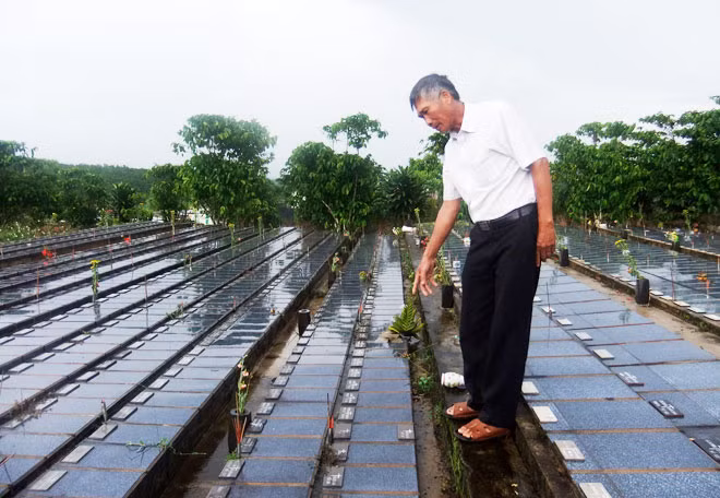 Ông Trần Đức Hoan bên nghĩa trang của những sinh linh bé bỏng. Ông Trần Đức Hoan bên nghĩa trang của những sinh linh bé bỏng.