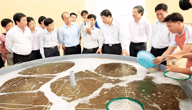 Đoàn thị sát cơ sở sản xuất tôm giống tại huyện Ninh Phước, tỉnh Ninh Thuận. Ảnh: Đức Ánh. Đoàn thị sát cơ sở sản xuất tôm giống tại huyện Ninh Phước, tỉnh Ninh Thuận. Ảnh: Đức Ánh.