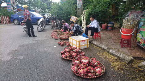 Hải sản được bày bán ăn theo Lễ hội chọi trâu.