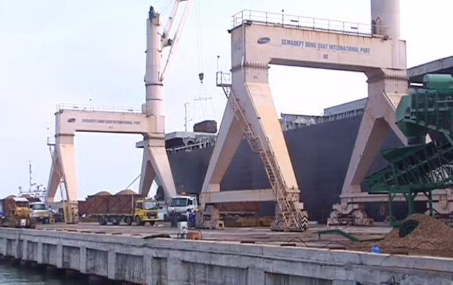 Việc xuất khẩu dăm gỗ của các doanh nghiệp ở tỉnh Quảng Ngãi đang gặp nhiều khó khăn.