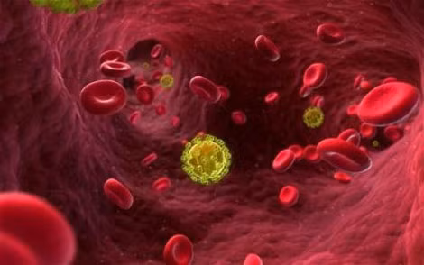 HIV trong máu. HIV trong máu.