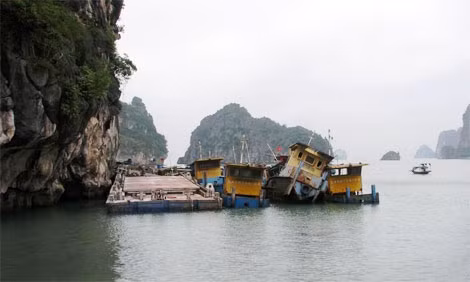 Những con tàu, sà lan han gỉ trên Vịnh Hạ Long.