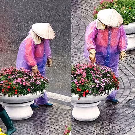Hình ảnh bị nghi ngờ nhân bản trong ảnh "Vì thành phố xanh-sạch-đẹp". Hình ảnh bị nghi ngờ nhân bản trong ảnh "Vì thành phố xanh-sạch-đẹp".