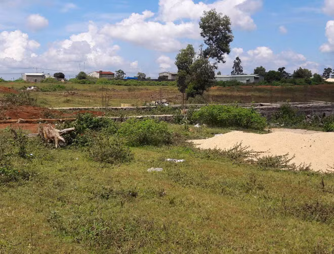 Khu đất phân lô đấu giá ở TP Pleiku.