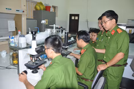 Bằng phương pháp hiện đại, giám định viên xác định chính xác đến tháng, năm sinh của đối tượng.