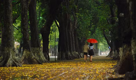 Thu Hà Nội - Ảnh khoảnh khắc. Thu Hà Nội - Ảnh khoảnh khắc.