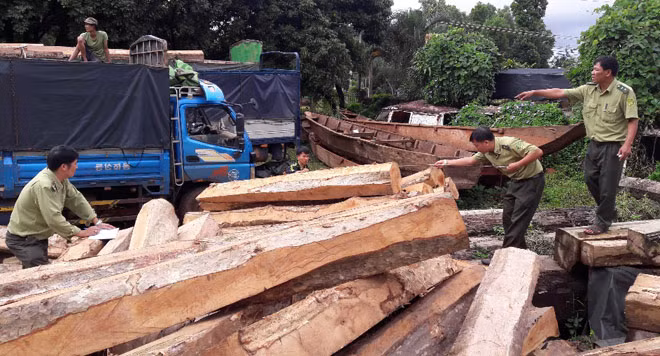Tang vật và phương tiện vận chuyển gỗ trái phép ở Gia Lai vừa bị bắt giữ.