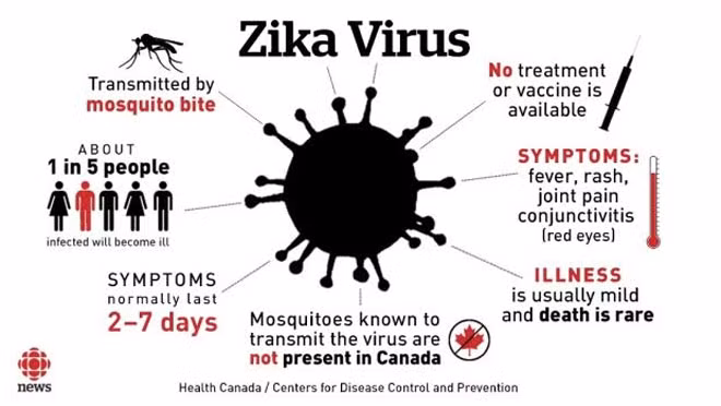 Virus Zika làm teo tinh hoàn và vô sinh ở nam giới. Virus Zika làm teo tinh hoàn và vô sinh ở nam giới.