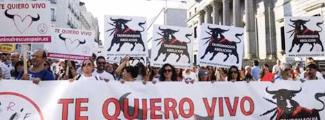 Biểu tình chống đấu bò ở Madrid.