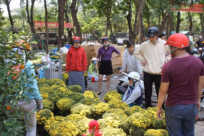 Cúc mâm xôi giảm giá còn 150 ngàn 1 cặp