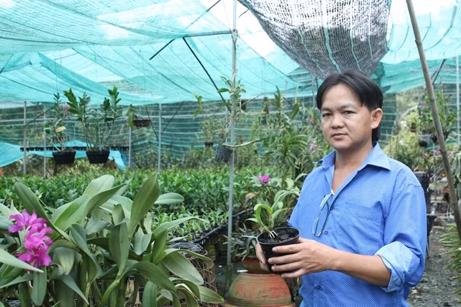 Ông Nguyễn Hoàng Sang ở huyện Hóc Môn chăm sóc vườn hoa lan