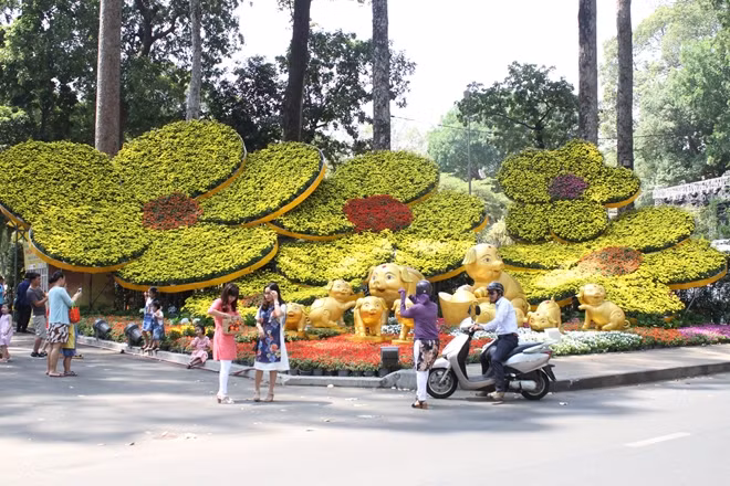 Hình hoa mai và những chú heo vàng trước cổng trên đường Trương Định