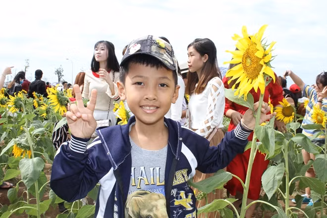 Nhiều người đến cánh đồng hoa hướng dương để vui chơi và chụp ảnh