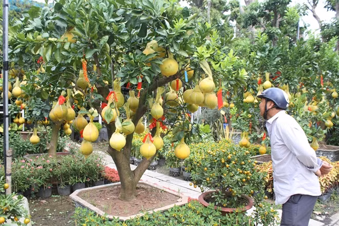 Người đi đường thấy đẹp vào xem
