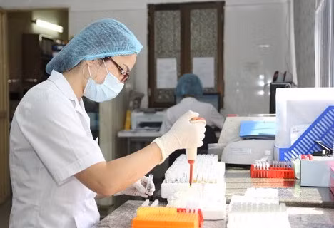 Nghiên cứu vaccine sốt xuất huyết tại Việt Nam đã hoàn tất