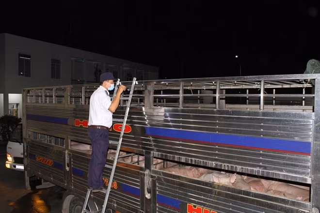 Công tác kiểm dịch thực hiện rất chặt chẽ