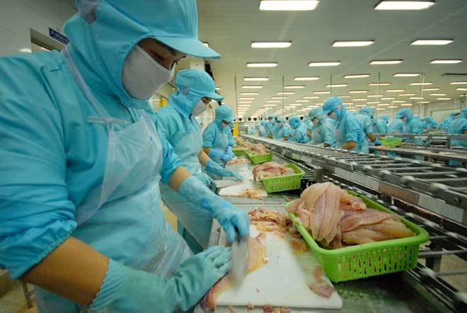 Công ty IDI (công ty thành viên thuộc Tập đoàn Sao Mai) giữ vững vị trí TOP đầu trong các doanh nghiệp chế biến và xuất khẩu thủy sản lớn nhất Việt Nam.