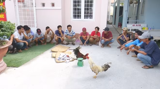 Các đối tượng và tang vật.