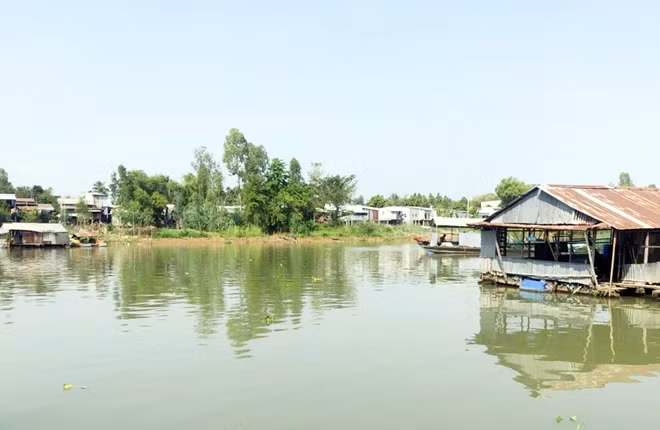 Khu vực nuôi cá trong lồng bè trên sông Cái Vừng - nơi xảy ra hiện tượng cá nổi đầu và chết hàng loạt.