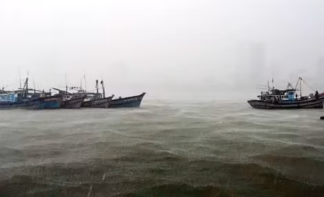Nhiều tàu thuyền vừa vào sông Hàn để tránh bão.